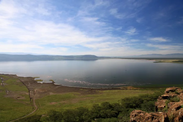 Naturreservat Lake Nukuru - Kenia — Stockfoto