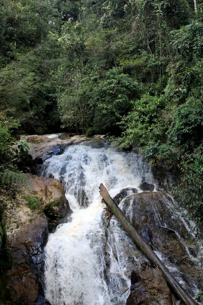 Waterval in de jungle, Maleisië — Stockfoto