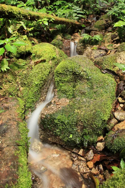Водоспад у джунглі, Малайзія — стокове фото