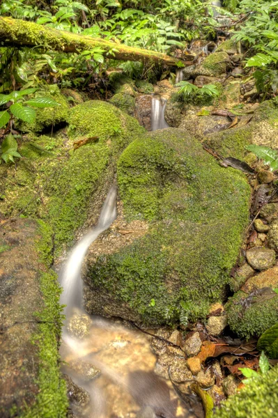 Vodopád v džungli, Malajsie — Stock fotografie