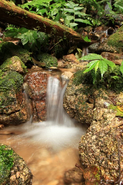 Wasserfall im Dschungel, Malaysia — Stockfoto
