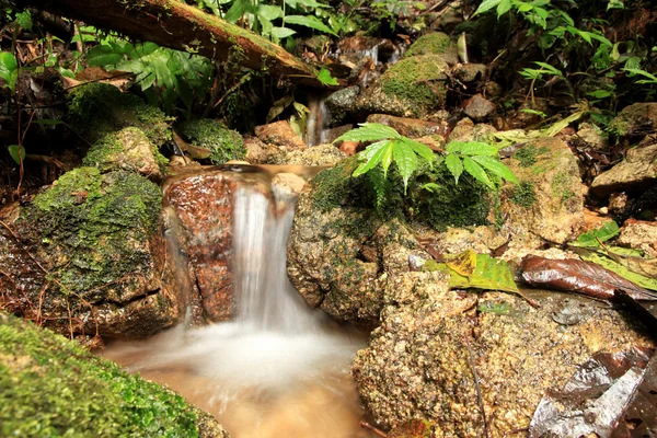 Wodospad w dżungli, Malezja — Zdjęcie stockowe
