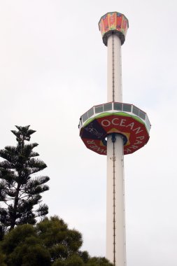 Ocean Park, Hong Kong