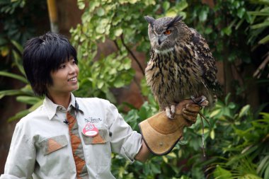 Ocean Park, Hong Kong