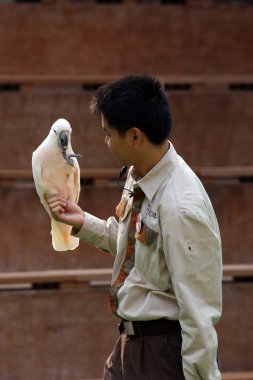 papağan - ocean park, hong kong