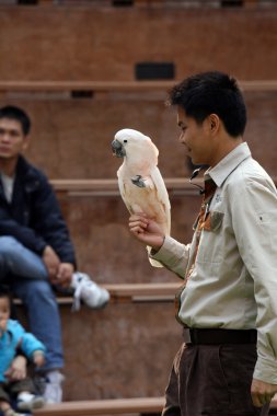 papağan - ocean park, hong kong