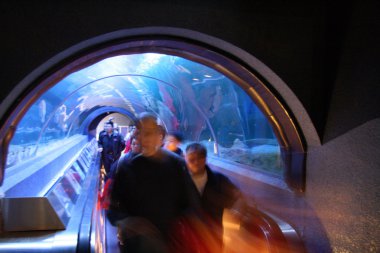 Atoll Reef - Ocean Park, Hong Kong