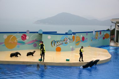 Ocean Park, Hong Kong