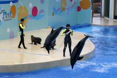 Ocean Park, Hong Kong