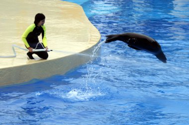 Ocean Park, Hong Kong