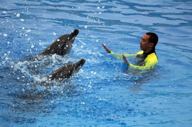 Ocean Park, Hong Kong