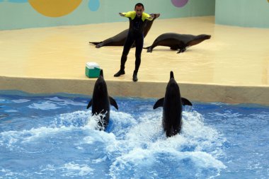 Ocean Park, Hong Kong