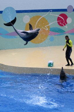 Ocean Park, Hong Kong