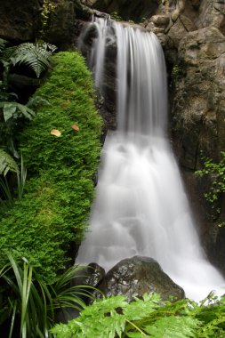 şelale - hong kong park, hong kong