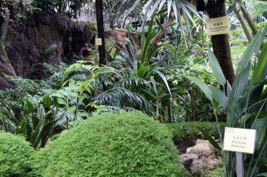 Hong Kong Park, Hong Kong