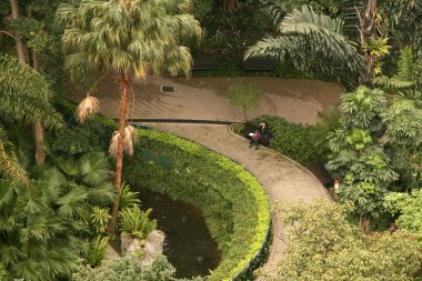 Zen Garden - Hong Kong Park, Hong Kong clipart