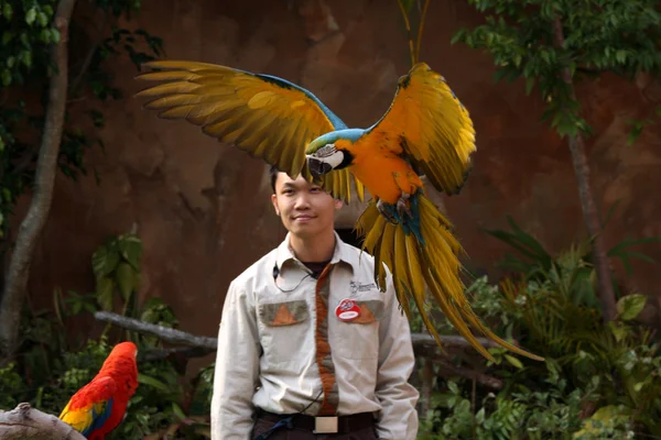 papağan - ocean park, hong kong