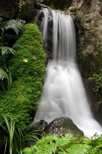 Waterfall - Hong Kong Park, Hong Kong — Stock Photo, Image