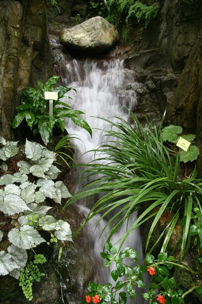 Waterfall - Hong Kong Park, Hong Kong — Stock Photo, Image