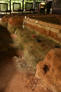 archelogical sitesi - fort konserve park, Singapur
