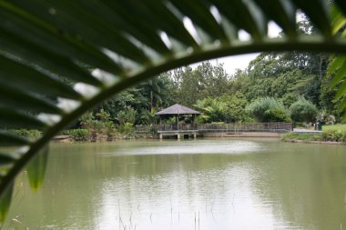 Göl - botanik bahçeleri, Singapur