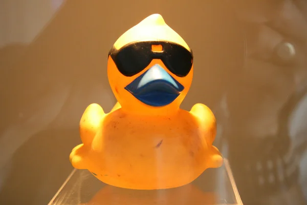 鸭的太阳镜 — 图库照片