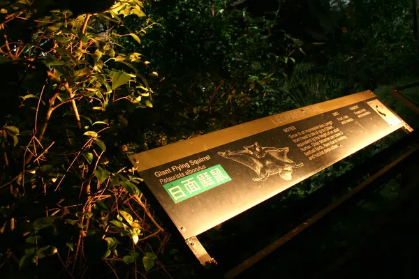 Safari nocturno, Singapur — Foto de Stock