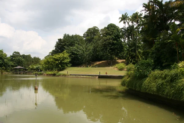 Jezero - botanické zahrady, Singapur — Stock fotografie