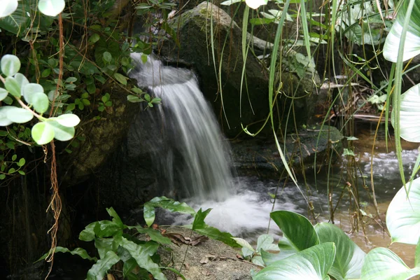 Wasserfall - singapore zoo, singapore — Stockfoto