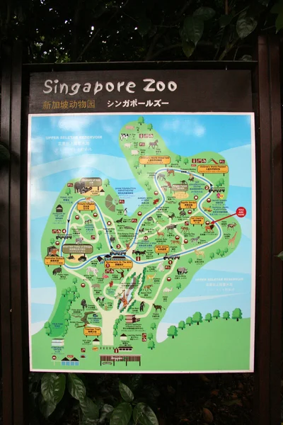 Carte géographique - Zoo de Singapour, Singapour — Photo