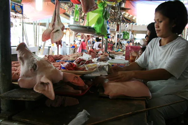 Tête de porc — Photo