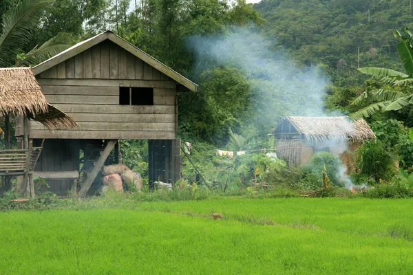 Campos de arroz Filipinas — Fotografia de Stock