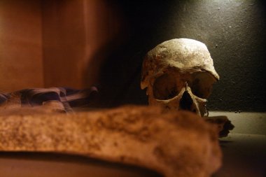 Bones - st paul's Katedrali, macau kalıntıları