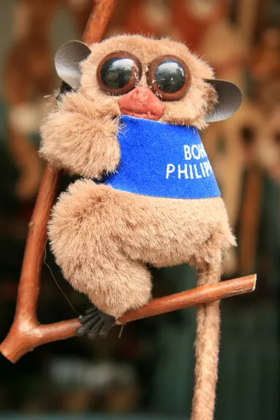 Μπους μωρό - πιό tarsier, Φιλιππίνες — Φωτογραφία Αρχείου