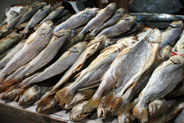 Fish Market - Macau — Stock Photo, Image