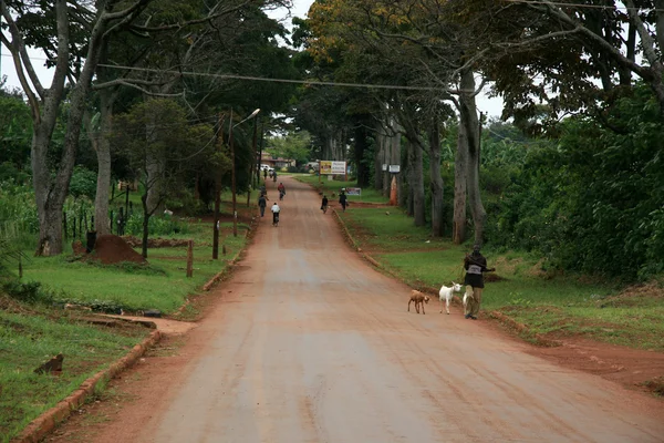 Джинджа - Уганда, Африка — стоковое фото