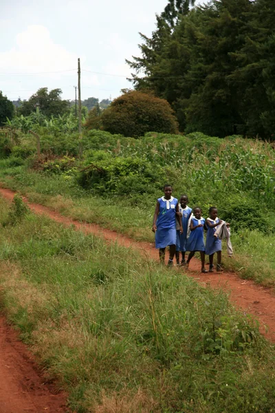 Schoolgaande kinderen - Oeganda, Afrika — Stockfoto