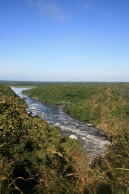 Nil Nehri, uganda, Afrika