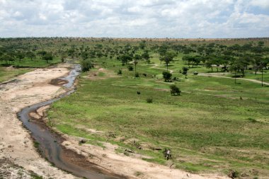 tarangire river - Tanzanya, Afrika