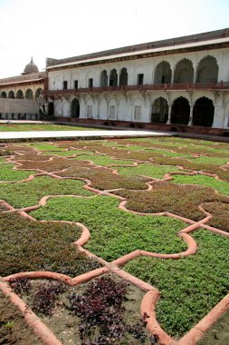 şiş mahal (cam Sarayı), agra fort, agra, Hindistan