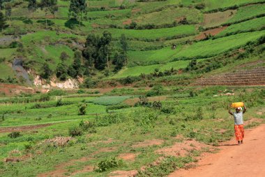 kisoro - uganda, Afrika üzerinden yol leading sarma