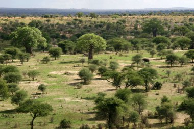 Landscap in Africa, Tanzania, Africa clipart