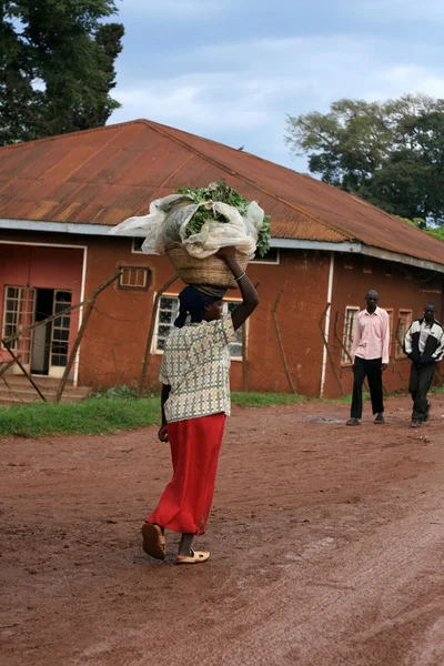 Нетрі місто в Кампалі - Уганда, Африка — стокове фото