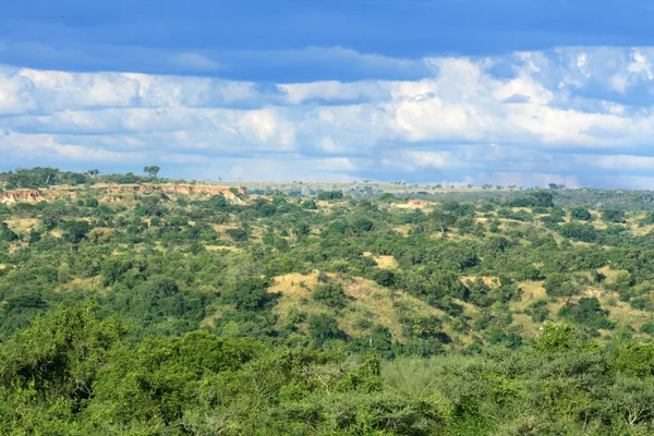 Murchison spada np, uganda, Afryka — Zdjęcie stockowe