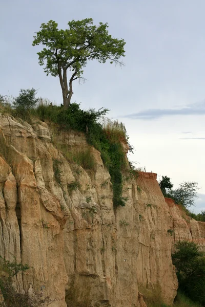 Murchison falls np, uganda, afrika — Stockfoto