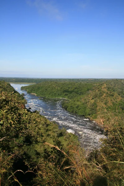 De nile river, Oeganda, Afrika — Stockfoto