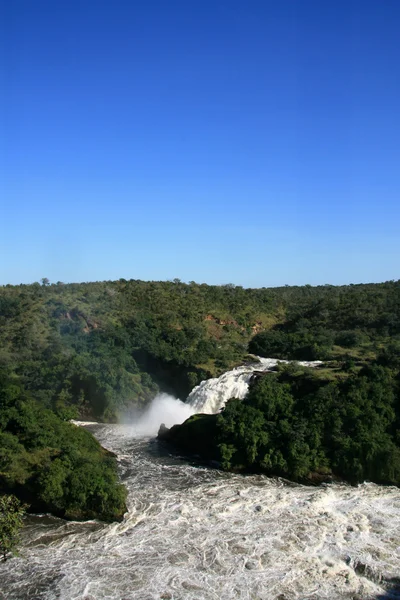 Murchison falls np, uganda, Afrika — Stockfoto