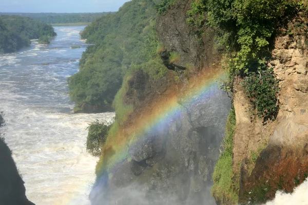Murchison falls np, Oeganda, Afrika — Stockfoto