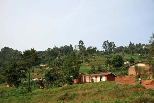 Kisoro - Oeganda, Afrika — Stockfoto