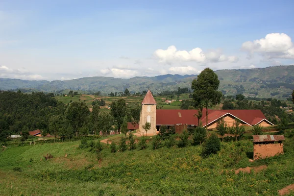 Райсовые поля в Уганде, Африка — стоковое фото